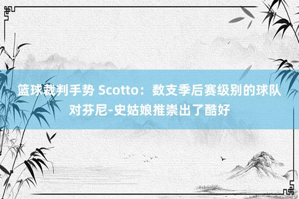 篮球裁判手势 Scotto：数支季后赛级别的球队对芬尼-史姑娘推崇出了酷好