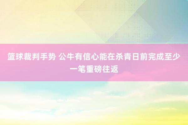 篮球裁判手势 公牛有信心能在杀青日前完成至少一笔重磅往返